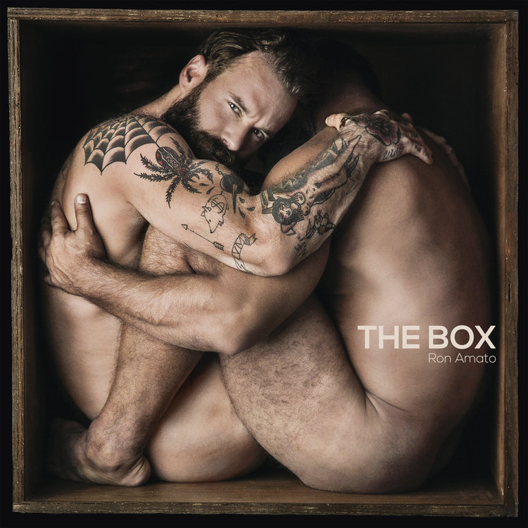 Cover of The Box